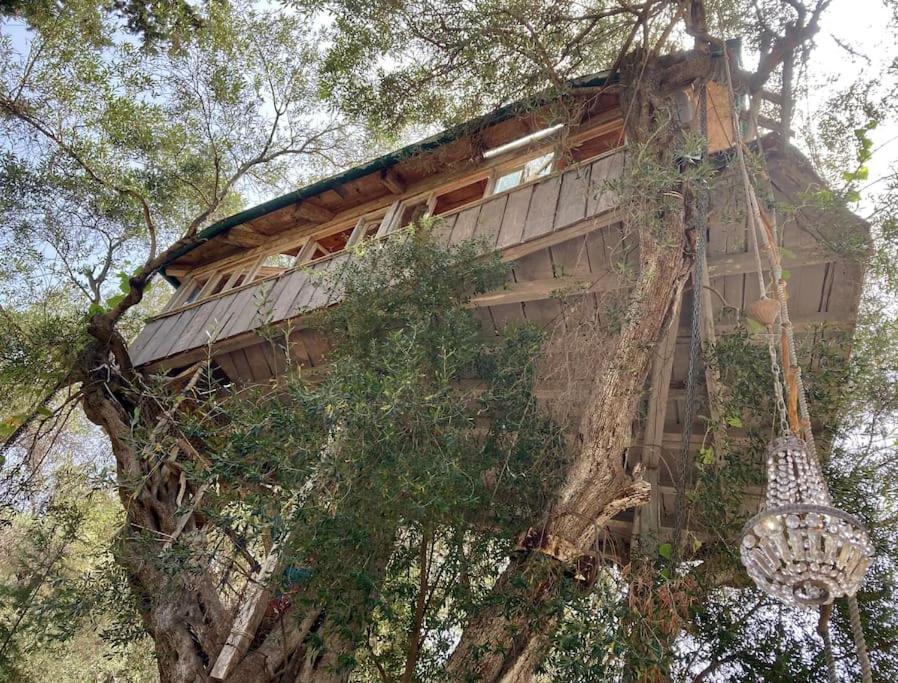 Willa Margaritis'S Treehouse Paramonas  Zewnętrze zdjęcie